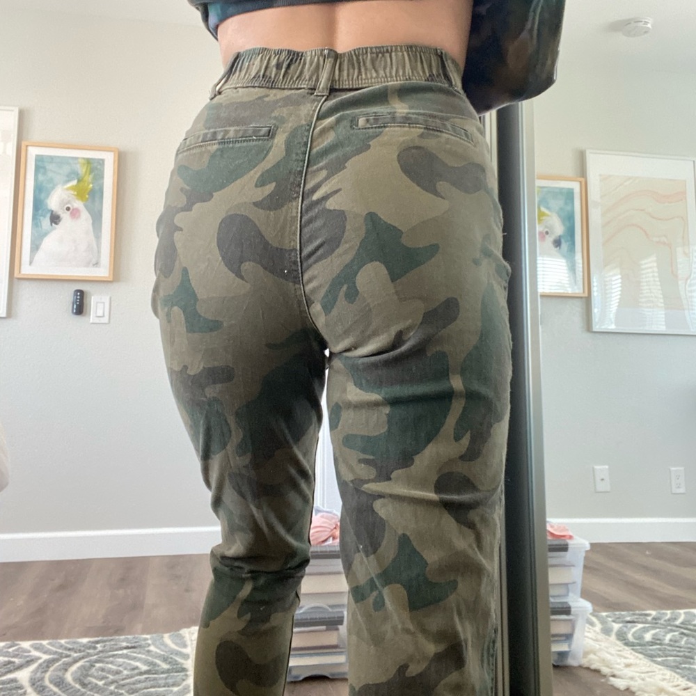 hollister pants